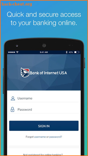 Bank of Internet USA screenshot
