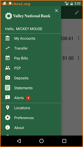 BankVNB Mobile screenshot