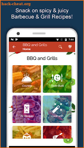 Barbecue Grill Recipes Offline, BBQ, Roast Food screenshot