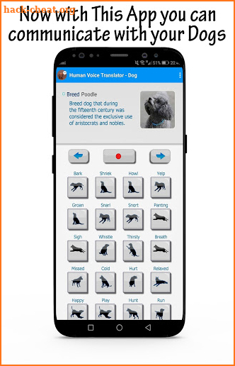 Bark Translator : How to understand your dog screenshot