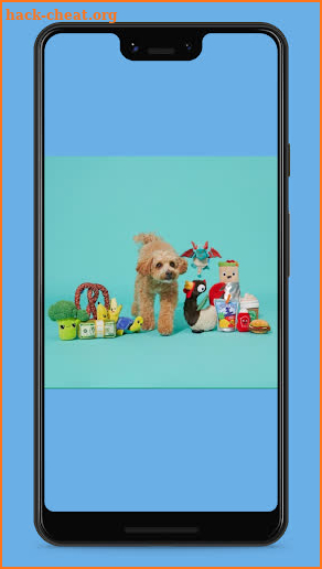 BarkBox - Dog Toy & Treat Box screenshot
