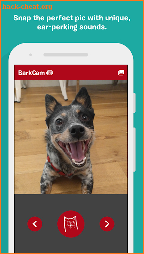 BarkCam screenshot