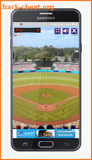 Baseball Pro Lite screenshot