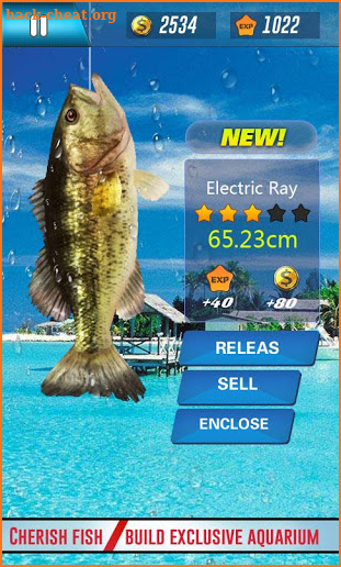 Bass Fishing Simulator 2019 - Deep Sea Fishing 3D screenshot