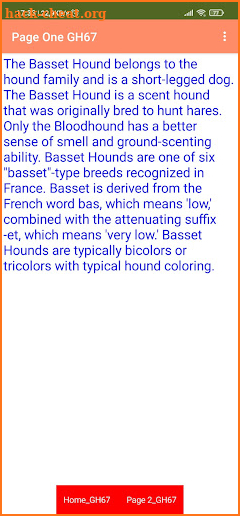 Basset Hound CD10 screenshot
