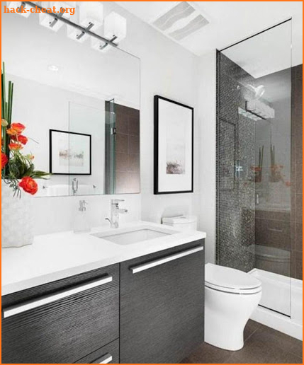 Bathroom Renovation Projects Designs screenshot