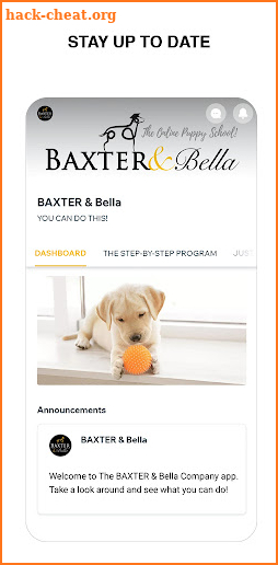 BAXTER & Bella screenshot