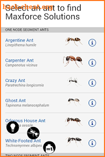 Bayer Maxforce Ant Solutions screenshot