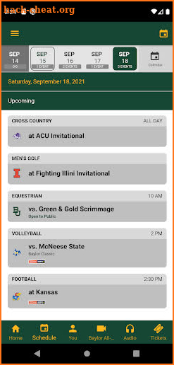 Baylor Sports screenshot