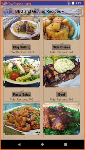 BBQ & Grilling Recipes ~ My nice recipes screenshot
