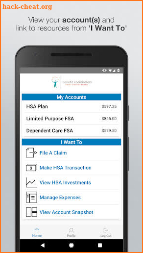 BCI Accounts – FSA HRA HSA screenshot