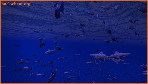 Be a Fish - VR Simulator screenshot
