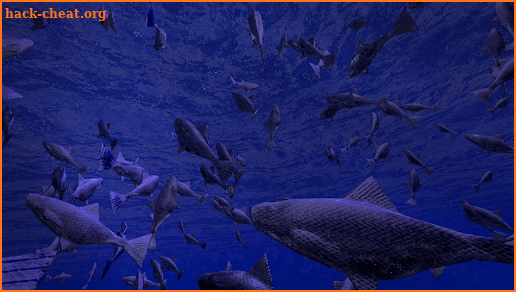 Be a Fish - VR Simulator screenshot
