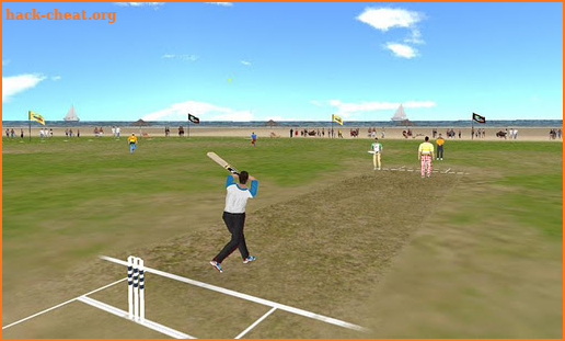 Beach Cricket Pro screenshot