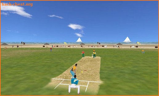 Beach Cricket Pro screenshot