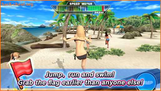 Beach Flags screenshot