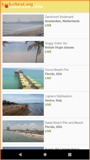 Beach Live Cams screenshot