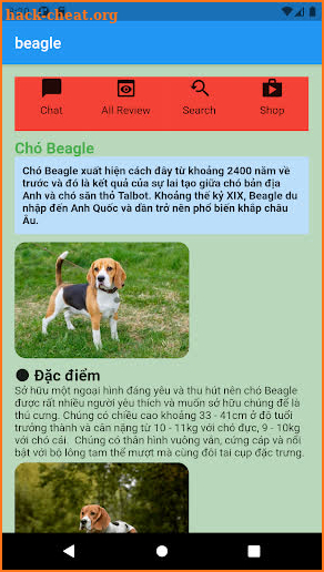 Beagle screenshot