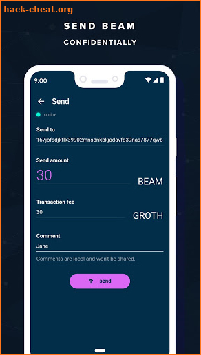 Beam Wallet screenshot