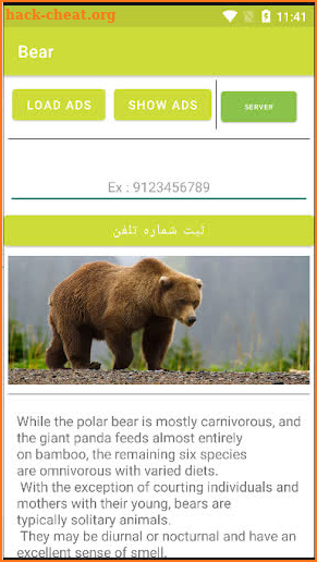 Bear screenshot