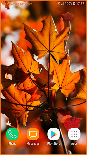 Beautiful Autumn Live Wallpaper HD screenshot