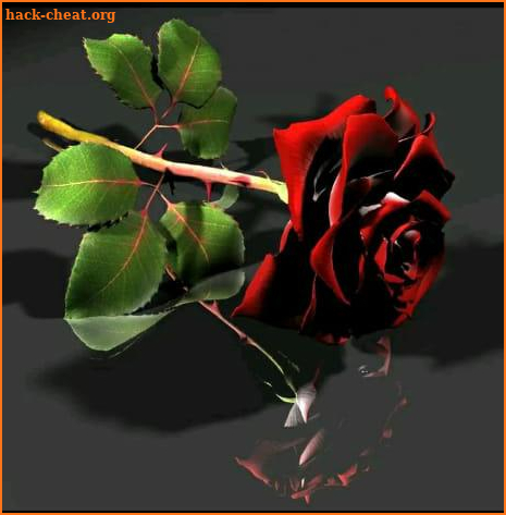 Beautiful flowers and roses Images Gif screenshot