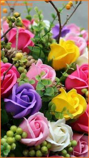 Beautiful flowers and roses pictures Gif screenshot
