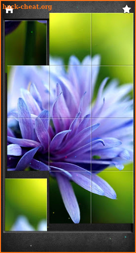 Beautiful Flowers Jigsaw Puzzles screenshot