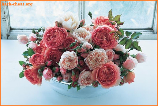 Beautiful Roses screenshot