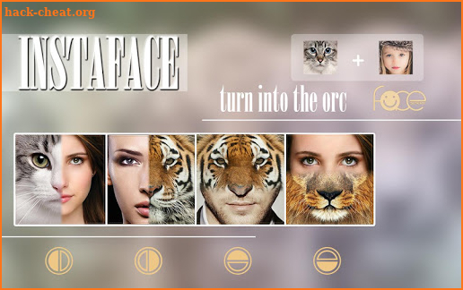 Beauty Face Plus :  face morphing screenshot