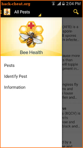 Bee Health screenshot