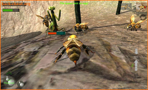 Bee Nest Simulator 3D screenshot