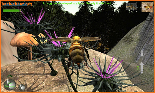 Bee Nest Simulator 3D screenshot
