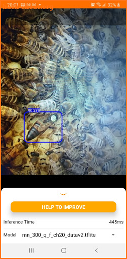Bee Queen Detector screenshot