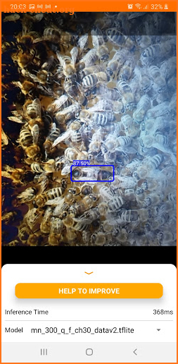 Bee Queen Detector screenshot