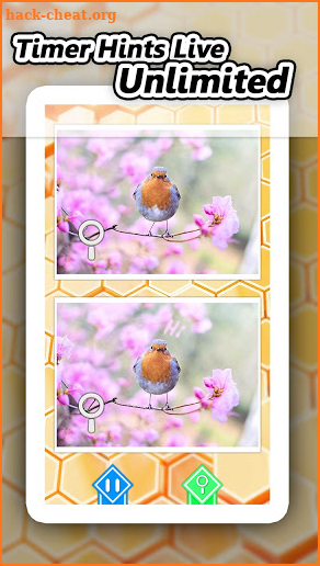 Bee The Different - find the difference game screenshot