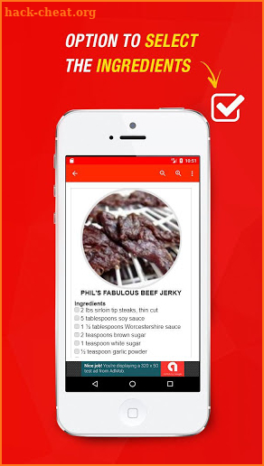 Beef Jerky Recipes screenshot