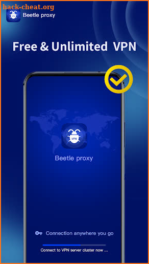 Beetle proxy screenshot
