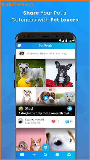 Bella - Social PetWork for Pets & Pet Lovers screenshot