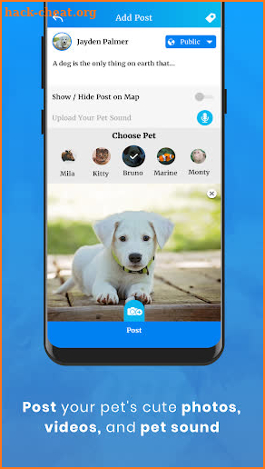 Bella - Social PetWork for Pets & Pet Lovers screenshot