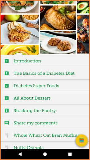 Best Foods for Diabetes screenshot