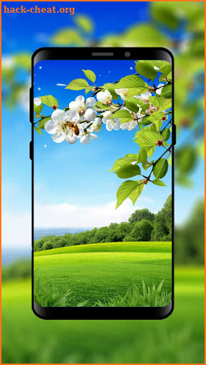Best HD Wallpapers and Backgrounds - Zee Wallpaper screenshot