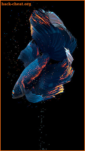 Betta Fish Live Wallpaper FREE screenshot