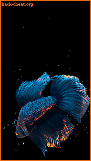 Betta Fish Live Wallpaper FREE screenshot