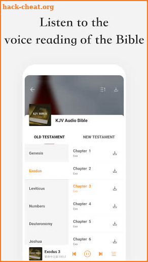 Bible Offline Free - Audio Bible - Daily Bible screenshot