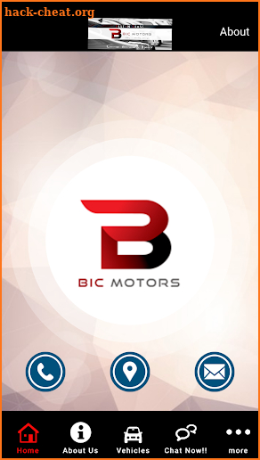 BIC MOTORS screenshot