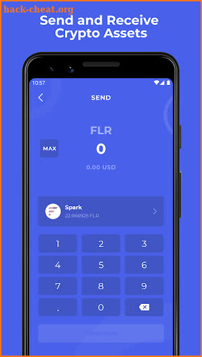 Bifrost Wallet — Songbird, Flare, Crypto Wallet screenshot