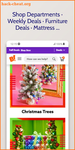 Big Lot's online shopping app screenshot