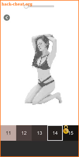 Bikini Pixel Art - Color Bikini Suit Girls screenshot
