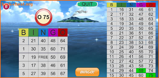 Bingo! screenshot
